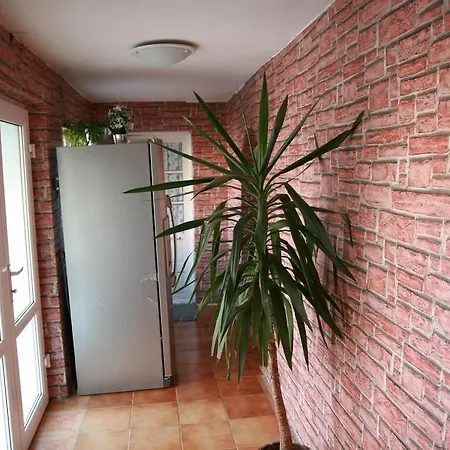 Casa Megalux Pensiune Costineşti